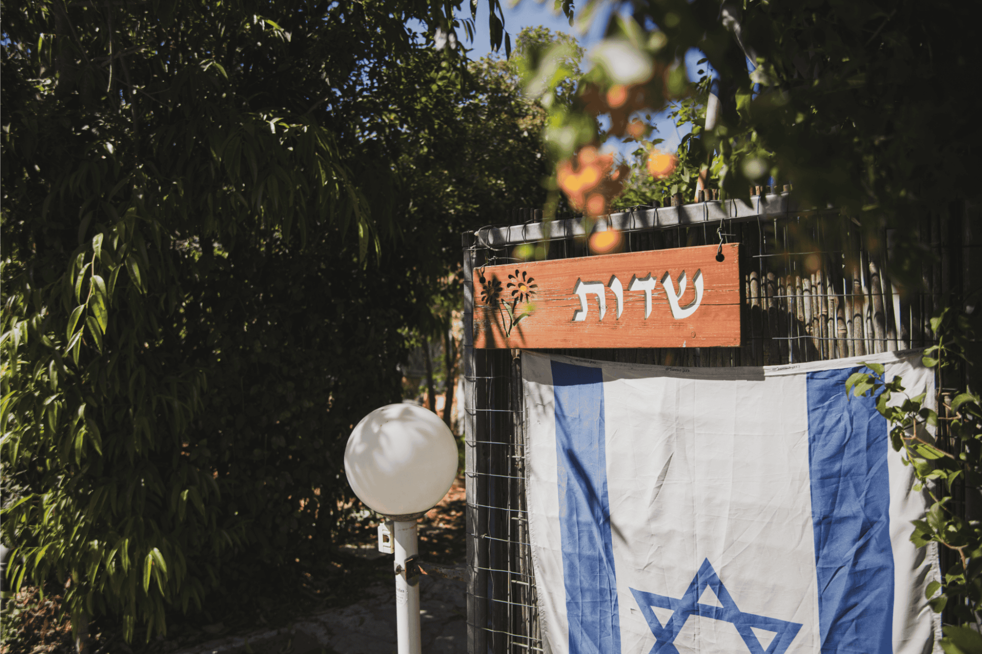 מרכז שדות בקרית טבעון